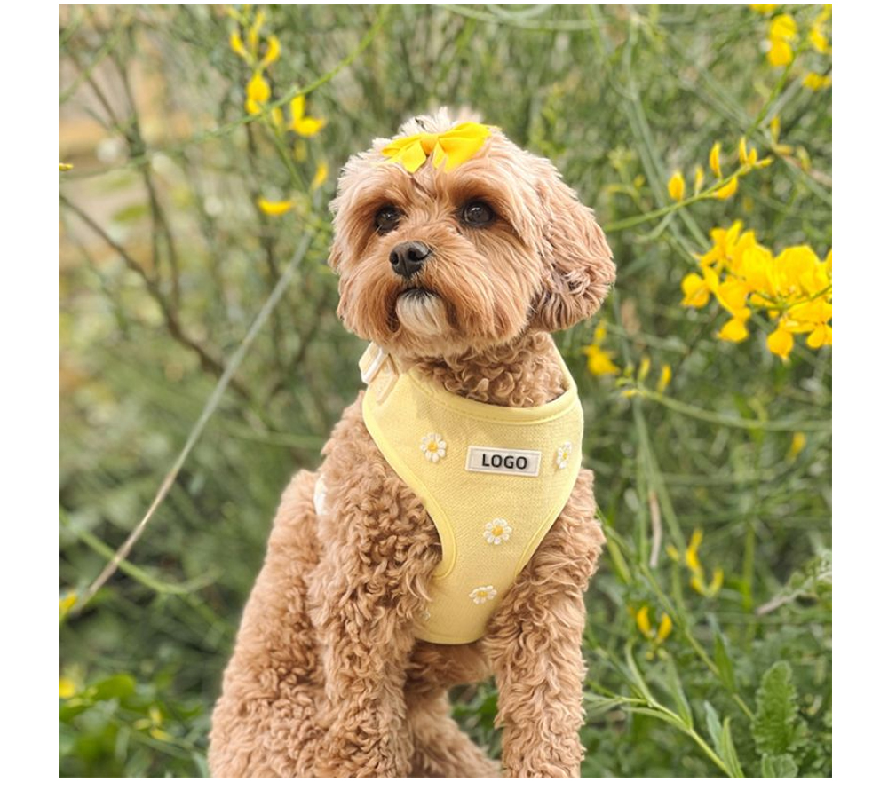 Custom Daisy Knitted Dog Harness 6-Piece Walking Set (6).jpg